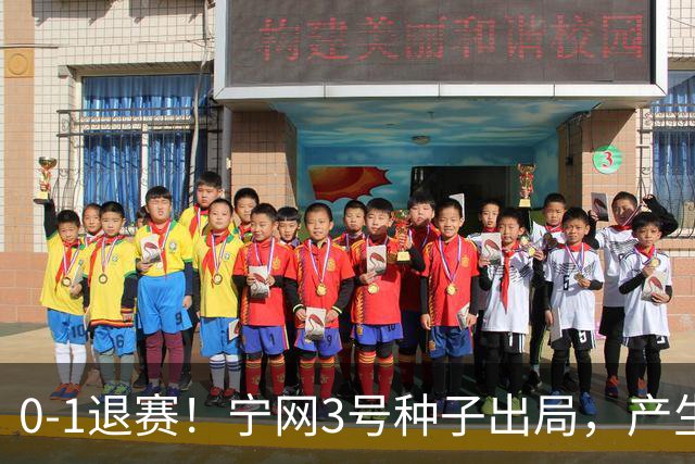 0-1退赛!宁网3号种子出局,产生连锁反应:WTA总决赛最后1席决出